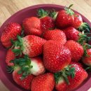 경철농장 이미지