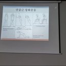 하나정형외과 티스토리