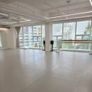 플리에 | 워킹맘 성인 발레 3주차 후기 | 플리에 없이 점프하면 무릎 위험한 이유