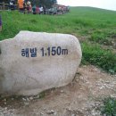 고성목장 이미지