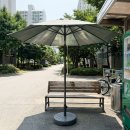 개님 | 파라솔 여러 개 써보고 정리한 솔직 후기