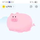 돈이돼지 | [앱테크 추천] 돈이돼지 하루 후기, 광고 짧고 적립 빠른 리워드앱 (추천인: D1A666)