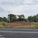 덕수2교차로(일주서로) 2 이미지