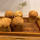 아라파파 이미지