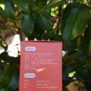 방배천로 160 이미지