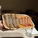 송산 | [안산/송산] 기념일 맛집 오마카세 송산스시 내돈내산 후기(룸O)