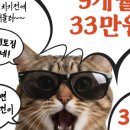 도약로 112 네이버블로그