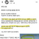 판사출신 변호사의 민희진 관련 소견 이미지