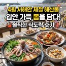 서천바다향기펜션 | 4월 서해안 제철 해산물 여행, 입안 가득 봄을 담아온 솔직한 식도락 후기