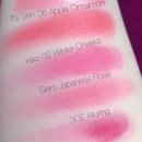 (주)엠씨씨 | 빼먹은 블러셔 위시리스트 정리