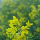 삼사리경로당 이미지