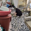 보배정신건강상담센터 이미지