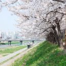 푸른빌딩 이미지