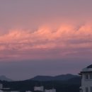 세영실업 이미지