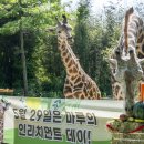 마루세븐 이미지