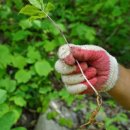 제일농산 이미지