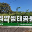 하마인력 이미지