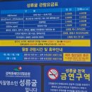 성류굴 관광지 | 자연이 만든 성류굴 다녀오기