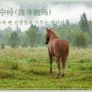 금대목장 이미지