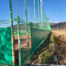 보성테니스장 이미지