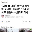 "고장 잘 나네" 북한이 러시아 공급한 골동품 D-74 곡사포 품질이... 이미지