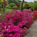 백두대간생태교육원(에코롯지) 이미지