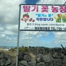 제이제이농장 이미지