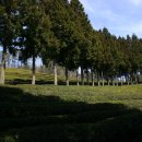 초록산마루농장 이미지