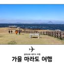 마라도전 이미지