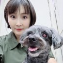 우리 애견 미용실 이미지