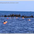 하우목동항 이미지