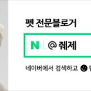 펫팸푸드 이미지