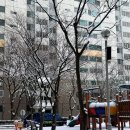 사리축사 | [2월 일상]삿포로 유키마츠리(雪まつり) 즐기기.