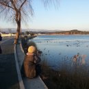 허난설헌생가터 이미지