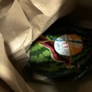 헤이, 댕댕 이미지