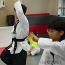 서산최강태권도 이미지