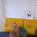 김고은그루밍# 이미지