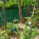 송산센트럴7단지공인중개사사무소 이미지