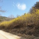 덕인노인전문요양원 | 경산요양원 전문적인 케어 시스템 믿음직한 노인요양 전문기관 덕인노인전문요양원
