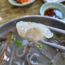 옹심이 칼국수 언양점 | 울산 언양 작천정 맛집 울주 벚꽃길 웨이팅 끝에 맛본 옹심이메밀칼국수