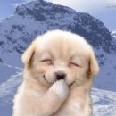 삼촌네 굴칼국수 이미지