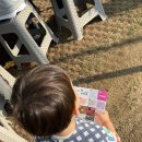 수원-1382 이미지