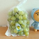 상큼달콤농산