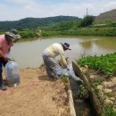 경상남도수산자원연구소 이미지