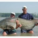 어여가세 이미지