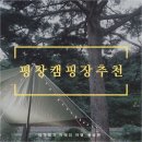 강원도 평창 보물섬 캠핑장 방문 후기_캠핑장 추천