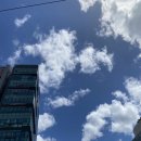 영등포 미엘르 의원 - 루비레이저 듀얼토닝 평편사마귀 얼굴 전체 후기