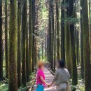 성산읍 푸른마을 | 제주도 택시여행, 제주 여자 기사 택시투어 서비스 이용 후기