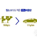 지성모터스 이미지