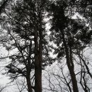 삽당령 정상 이미지